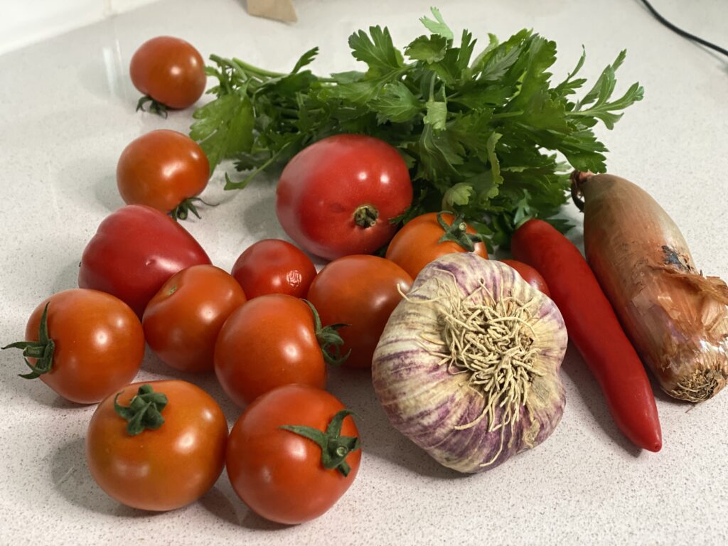 Kleine Tomaten, Knoblauchknolle, Chilischote, Schalotte und Bund Petersilie
