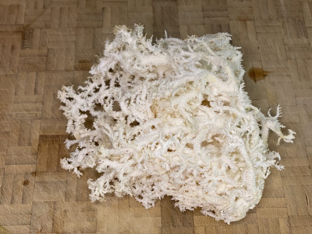 Frisée-Pilz auf Brett
