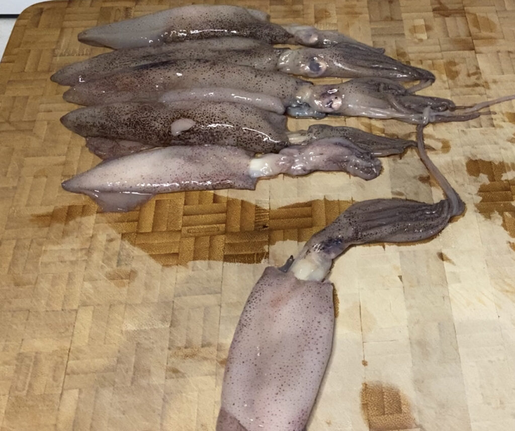 Calamaretti