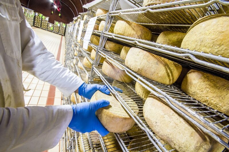 Pecorino der würzige Schafskäse Italienische Nudeln