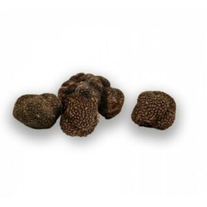 Frische Herbsttrüffel Uncinatum C-qualität