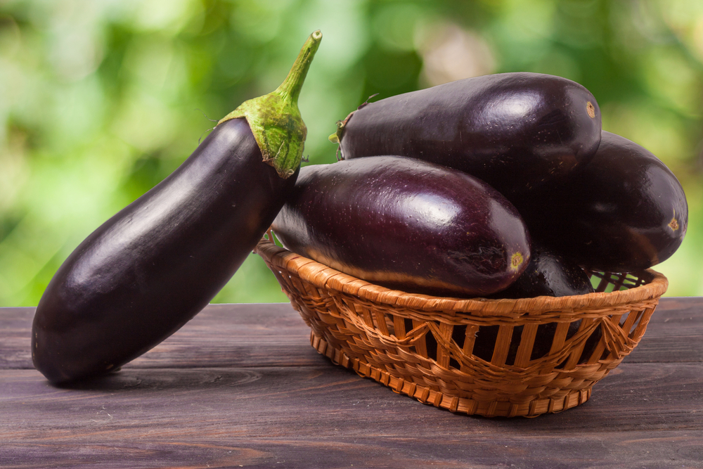 Aubergine